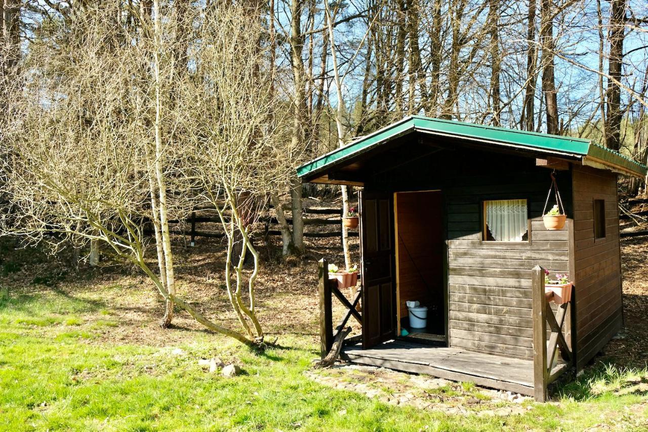Agroturystyka Strzebielino Exteriör bild